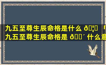 九五至尊生辰命格是什么 🦈 「九五至尊生辰命格是 🌴 什么意思」